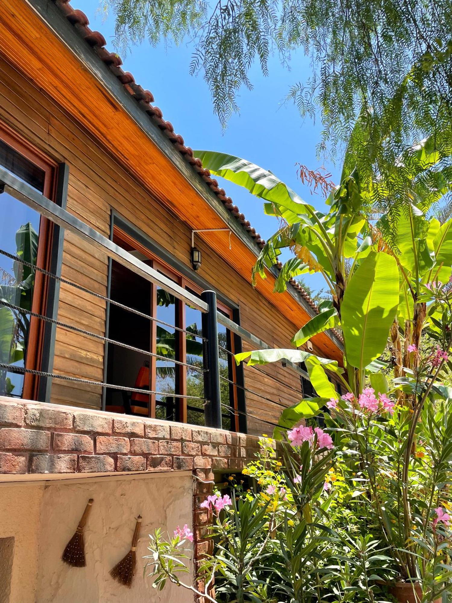 Ata Boutique Hotel Çeşme エクステリア 写真