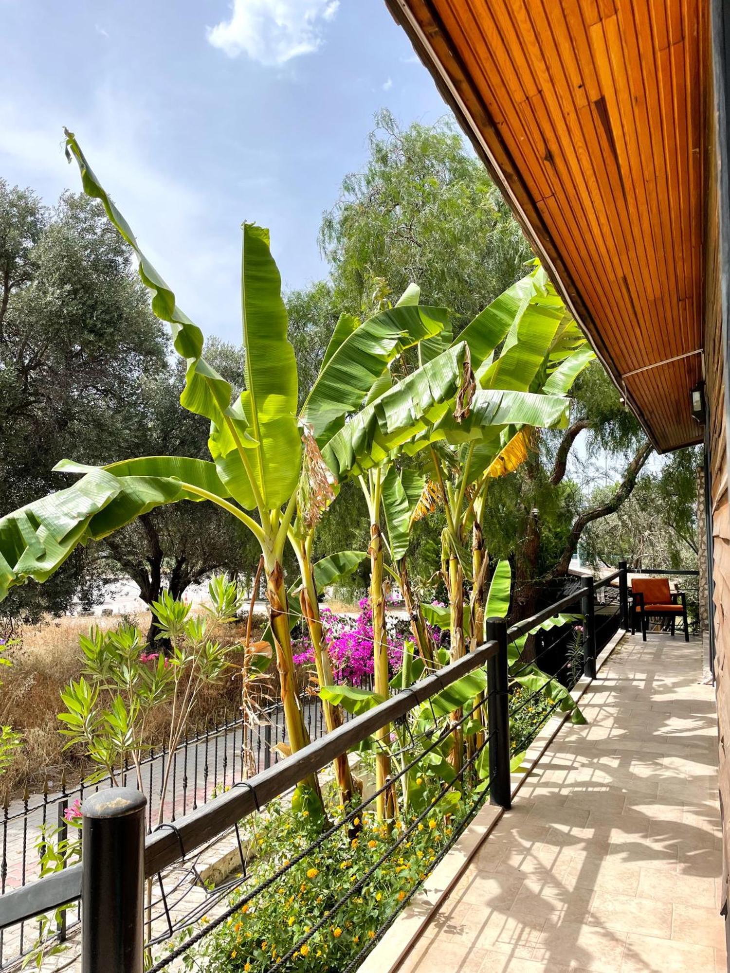 Ata Boutique Hotel Çeşme エクステリア 写真
