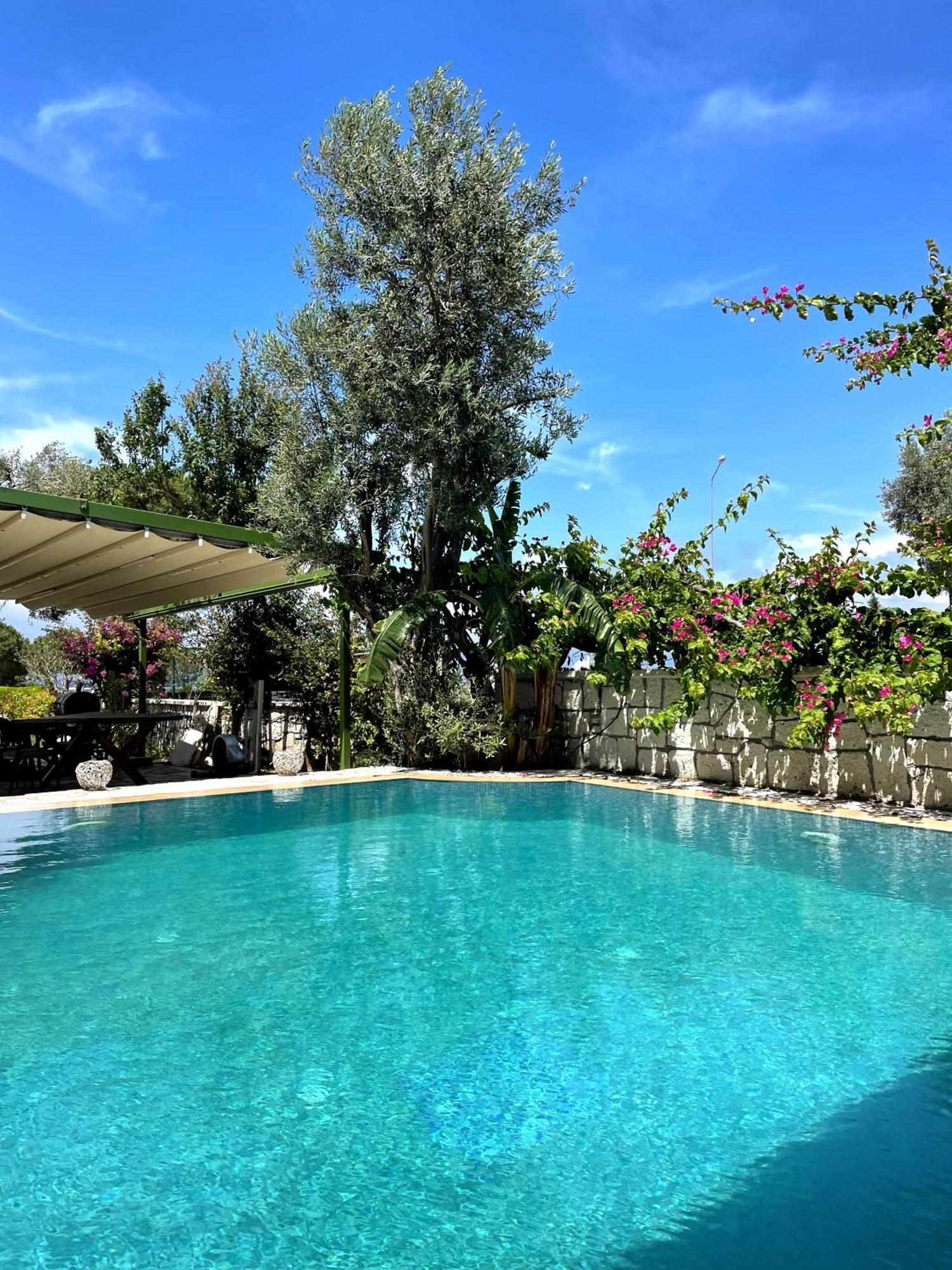 Ata Boutique Hotel Çeşme エクステリア 写真