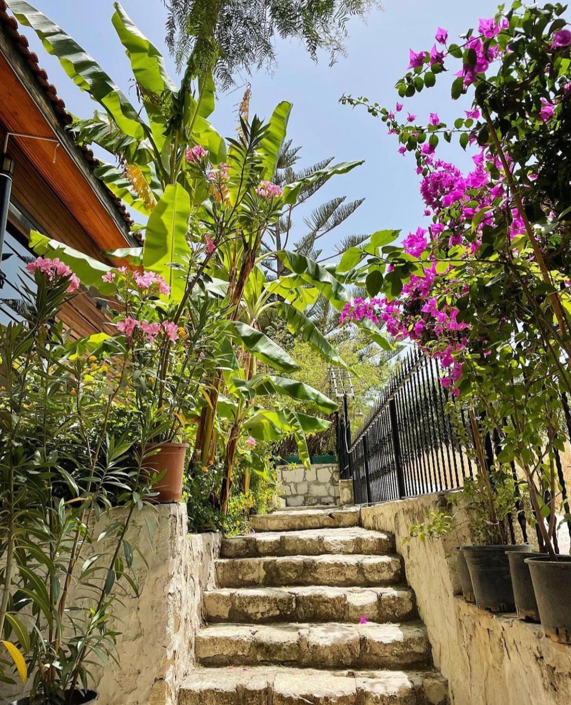 Ata Boutique Hotel Çeşme エクステリア 写真
